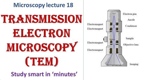 transmission electron microscope disadvantage.